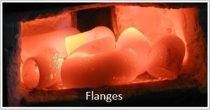 Forged Fittings
