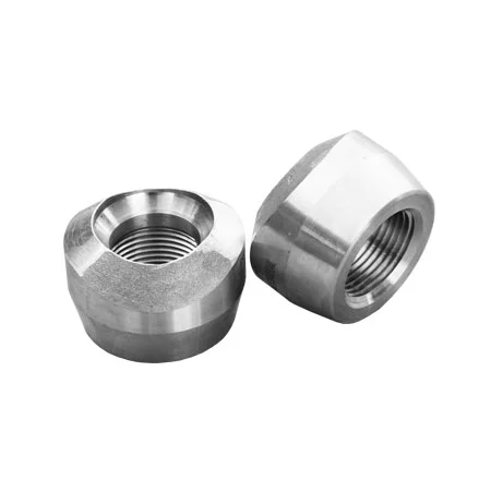 Stainless Steel Threaded Outlet