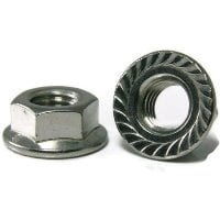 Hex Flange Nut Hex Flange Nut