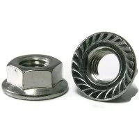 Hex Flange Nut Carbon Steel Hex Flange Nut